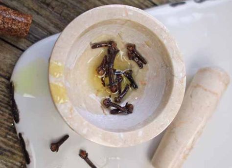 Remedies For Tooth Ache, Healthy Holistic Living, Food Medicine, Clove Oil, Holistic Remedies, Middle Of The Night, Homemade Remedies, Holistic Living, Natural Health Remedies