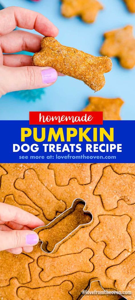 Easy Pumpkin Dog Treats • Love From The Oven Dog Biscuits Homemade Pumpkin, Pumpkin Pie Dog Treats, Pumpkin Dog Treats Easy, Pumpkin Treats For Dogs, Homemade Pumpkin Dog Treats, Pumpkin And Peanut Butter, Dog Treats Homemade Pumpkin, Paw Crochet, Dog Cookie Recipes