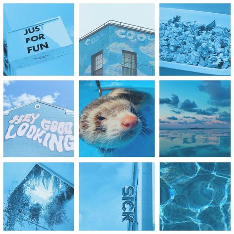 Adopt Idea, Mood Board Inspiration, Mood Board Design, Quick Sketch, Aesthetic Collage, Ferret, Learn To Draw, Design Inspo, Made By Me