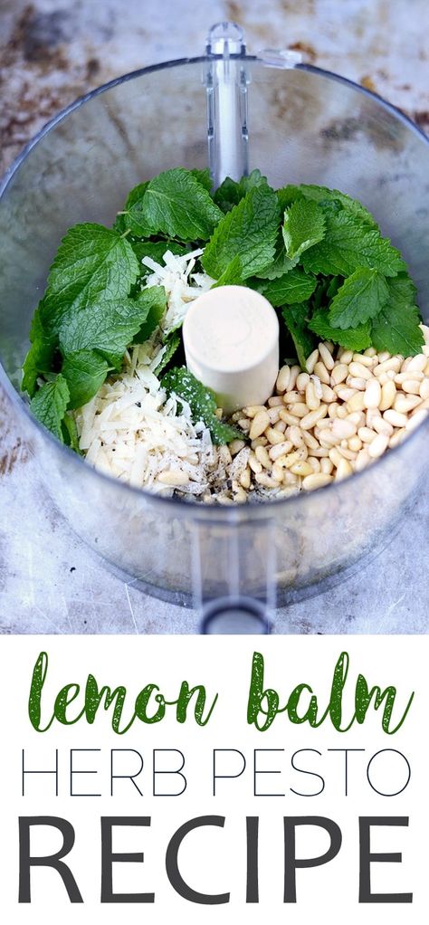 Lemon Balm Pesto Lemon Balm Uses, Lemon Balm Recipes, Herb Pesto, Fresh Herb Recipes, Herb Gardens, Creative Cooking, Herb Recipes, Herbal Recipes, Pesto Recipe