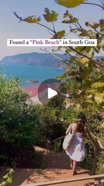 Goa story on Instagram: "@rai_speaks Who knew Goa had a hidden gem like this pink beach? Feeling rosy today after discovering this stunning pink beach! The color is actually caused by red algae and coral being ground up and mixed in with the sand. The colour of water left me in awe. So grateful to have stumbled upon this breathtaking spot. I hope this video inspires others to go out and explore the world and find their own hidden gems. 🌸🌊 Location cola beach 🏖️ south goa Save the post for next trip to Goa ❤️ Please Follow @goa_story @rai_speaks if you genuinely like this content & stay tuned for such contents. It’s on the roll. Thanks!! 🌸🌊 #pinkbeach #beach #ocean #nature #travel #goa #southgoa #hiddengem #beachvacarion #raispeaks #goabeach #goalove" Goa Instagram Stories, Goa Beach, South Goa, Beach Dinner, Ocean Nature, Red Algae, Pink Beach, Best Budget, So Grateful