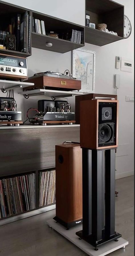 Audiophile Room, Hifi Room, Audiophile Listening Room, Home Music Rooms, Record Room, Sound Room, Audio Rack, Audio Studio, Listening Room