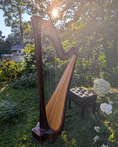 Harp At Wedding, Harp Wedding, Harp Aesthetic, Wedding Harpist, Harp Player, Moodboard Wedding, Wedding Musicians, Hamptons Wedding, Garden Weddings