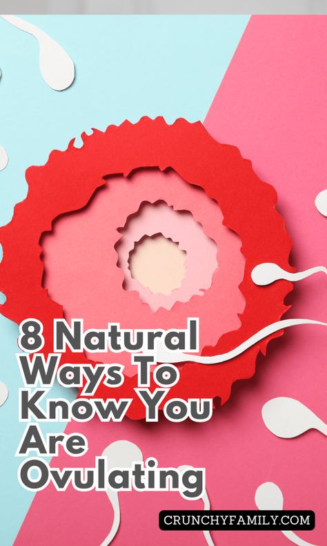 How to know you are ovulating, using 8 easy natural signs. Get to know your body and recognise ovulation symptoms Anovulation Remedies, How To Ovulate Regularly, Ovulation Signs, Ovulation Symptoms, Pregnancy Illustration, Ovulation Cycle, Ovulation Tracking, Natural Family Planning, How To Conceive