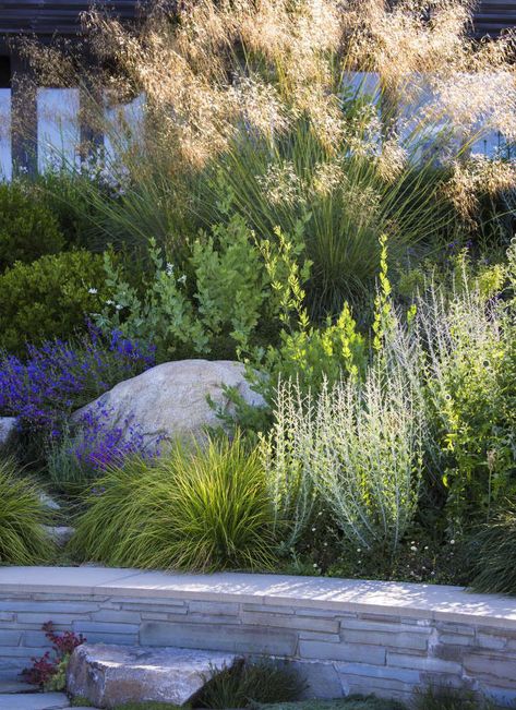 Sneak Peek: Garden Design Magazine's Wild Gardens - Gardenista Wild Gardens, Moderne Have, Lake Washington, Coastal Gardens, Grasses Garden, Garden Types, Mediterranean Garden, Native Garden, Plant Combinations