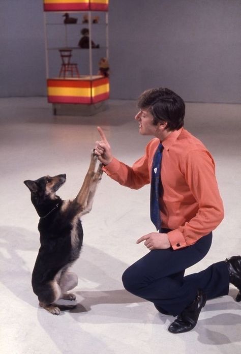 Vintage Animals, Blue Peter, Vintage Dog, Doctor Who, Childhood Memories, Film, Dogs, Animals, Red