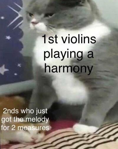 #orchestrahumour #memes #bandmemes #musicmemes #orchestramemes #twosetviolin #musicmemesdaily #viola #violin #bass #piano #cello #cellomemes #pianomemes #violamemes #violinmemes #brass #woodwind #strings #guitar #guitarmemes #trumpet #flute #jazzmemes #orchestra #music Orchestra Pick Up Lines, Violin Relatable, Violin Memes Funny, Funny Orchestra Jokes, Orchestra Class Memes, Orchestra Humor Violin, Orchestra Memes Cello, Orchestra Memes Funny, Violin Jokes