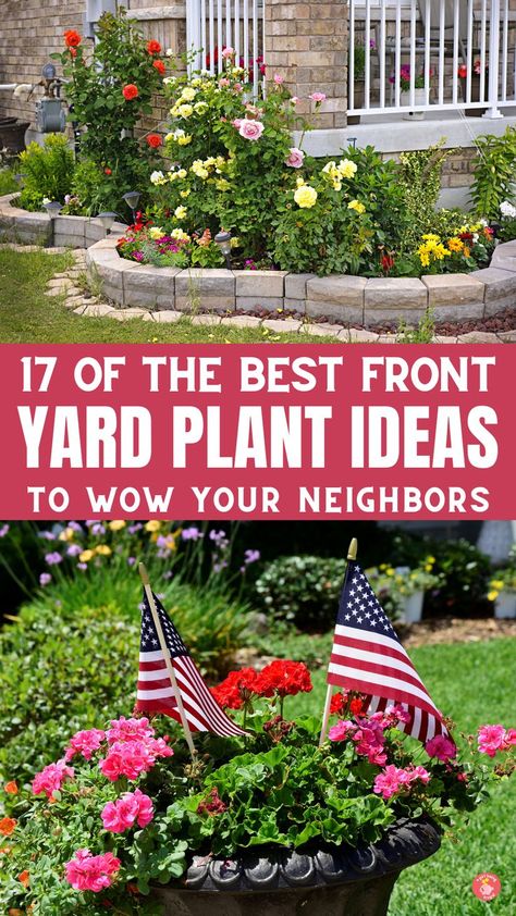 Explore stunning front yard plant ideas that'll impress your neighbors! From low-maintenance Boxwood shrubs to vibrant Hydrangeas and Knockout roses, discover plants that add curb appeal and joy to your home. 🏡💚 #FrontYard #PlantIdeas #GardeningTips Yard Plant Ideas, Front Of House Plants, Boxwood Shrubs, Garden Ideas Budget Backyard, Boxwood Landscaping, Front Door Plants, Front Porch Plants, Front Porch Planters, Front Yard Plants