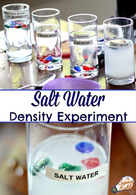 Ocean Art Preschool Activities, Science Exploration Preschool, Ocean Activities Elementary, Salt Water Experiment, Ocean Science Experiments, Vetenskapliga Experiment, Kitchen Science Experiments, Science Experience, Water Experiments