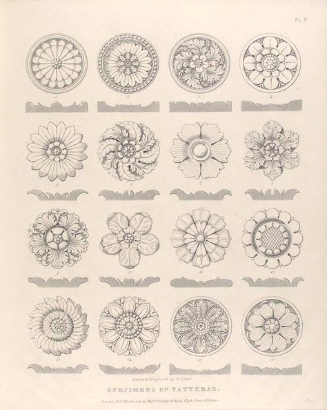 Fiori Art Deco, Motifs Art Nouveau, Ornament Drawing, Carving Designs, Old Book, Metal Work, Arabesque, Hand Engraving, Architecture Drawing