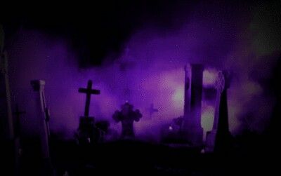 Purple Halloween Discord Banner, Bats Banner Gif, Dark Purple Header Gif, Purple Gifs Discord, Black And Purple Banner Gif, Dark Purple Banners Discord, Goth Banners Discord Gif, Purple Discord Banners Gifs, Black And Purple Discord Banner