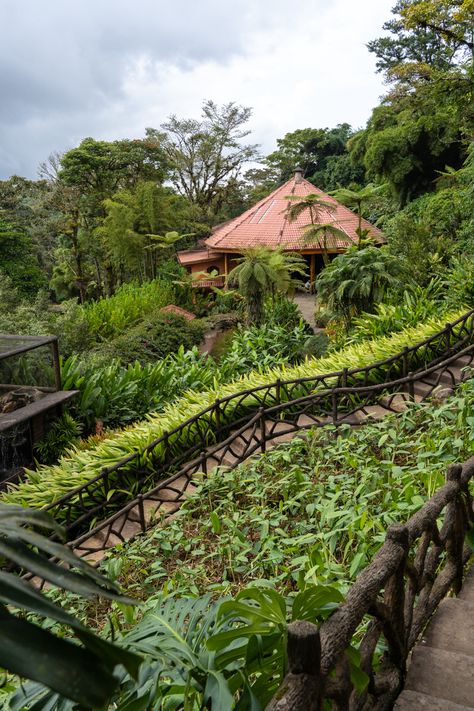 The La Paz Waterfall Gardens in Costa Rica • Jetset Jansen Costa Rica Garden, Costa Rica Forest, Costa Rica Nature Photography, La Paz Waterfall Gardens Costa Rica, Costa Rica Animal Sanctuary, Trout Lake, Permaculture Gardening, Beautiful Travel Destinations, Costa Rica Travel