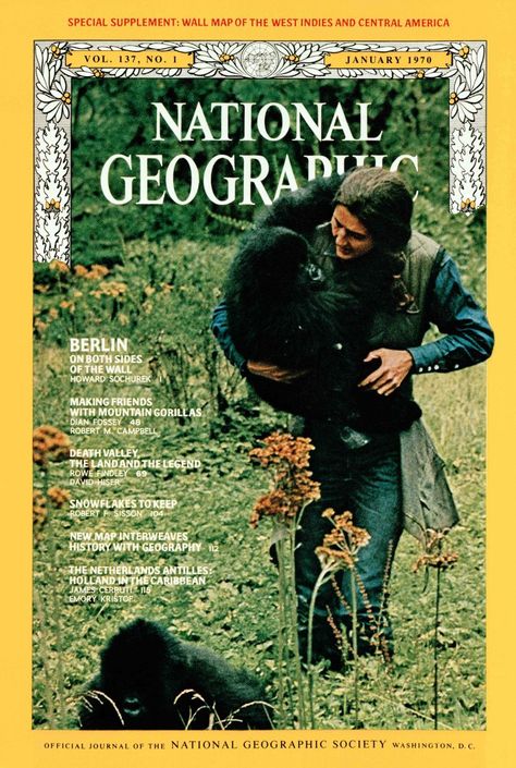 National Geographic Archives, National Geographic Cover, Central America Map, Gorilla Family, Gorillas In The Mist, Dian Fossey, National Geographic Photographers, Jane Goodall, Mountain Gorilla