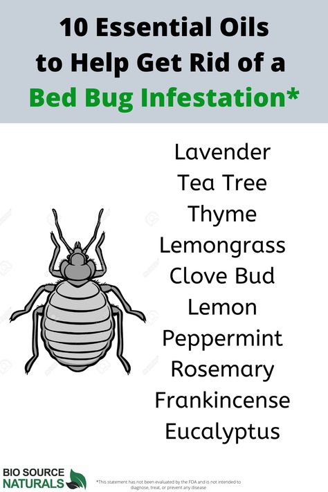 Bed Bugs Essential Oils, Insect Repellent Essential Oils, Bug Infestation, Bug Spray Recipe, Get Rid Of Spiders, Rid Of Bed Bugs, Tick Repellent, Hair Oils, Bed Bug