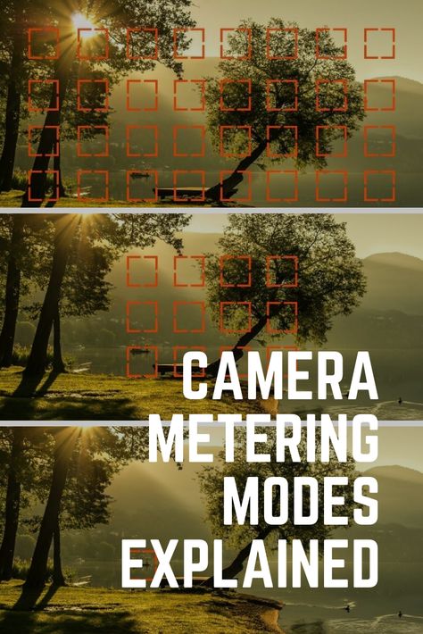 Nikon Landscape Photography Settings, Metering Modes Photography, Indoor Portrait Photography Settings, Beginner Photography Ideas, Metering Photography, Nikon Camera Settings, Canon Camera Settings, Beginner Photography Camera, Wildlife Photography Tips