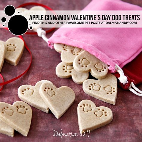 Cinnamon Dog Treats, Pet Treats Recipes, Christmas Dog Treats, Valentine Dog, Apple And Cinnamon, Diy Dog Treats, Valentines Day Dog, Dog Bakery, Puppy Treats