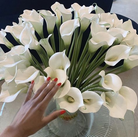 Taurus Rising, Boquette Flowers, Nothing But Flowers, Flower Therapy, Calla Lilies, Beautiful Bouquet Of Flowers, Flower Boxes, Calla Lily, Love Flowers