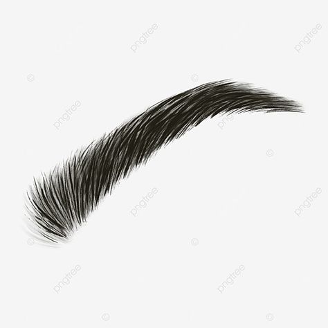 Korean Eyebrows Shaping, Eyebrow Png, Boys Eyebrows, Cartoon Eyebrows, Lazy Drawing, Eyebrow Images, Korean Eyebrows, Knife Photography, Curved Eyebrows