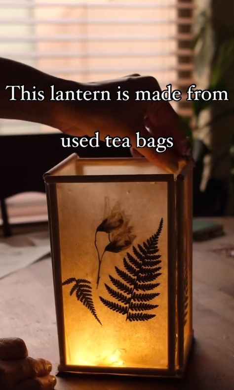 Lantern made with used tea bags and flowers Homemade Lanterns, Diy Lantern, Lantern Diy, Used Tea Bags, Diy Lanterns, How To Make Lanterns, Tea Stains, Green Lantern, Tea Bags