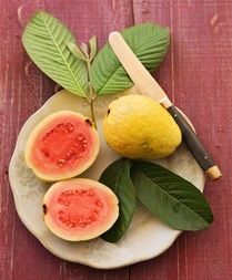 Guava Aesthetic, Food For The Gods, Best Summer Cocktails, Guava Fruit, Guavas, Fruit Photography, Holistic Nutrition, Exotic Fruit, Tropical Fruits