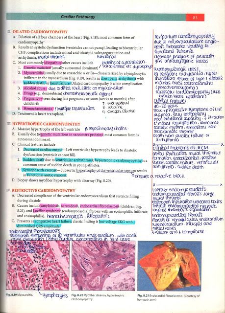 The Complete Guide on How to Study Pathology in Med School http://writtenbykanra.blogspot.com/2018/01/the-complete-guide-on-how-to-study.html How To Study Pathology, Pathology Notes Medical Students, Medschool Notes, Neet Inspiration, Pathology Aesthetic, Mbbs Notes, Pathology Notes, Pathology Study, Med School Prep