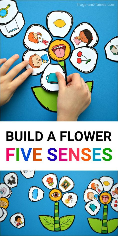 Teaching kids about five senses can be a lot of fun!  Kids will pick up a flower petal and look at the picture. They can place the flower petal around the flower center that represents the sense they think they use the most. #5senses #printableactivity #printablesforkids 5 Senses Preschool, Build A Flower, Five Senses Preschool, 5 Senses Activities, Senses Preschool, My Five Senses, Senses Activities, 5 Senses, Five Senses