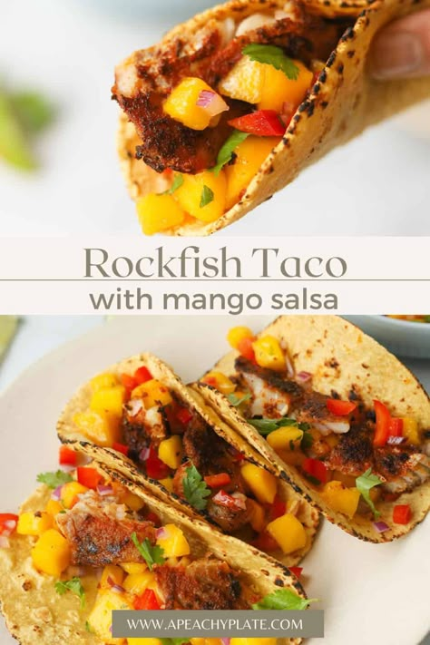 Rockfish Tacos, Rockfish Recipes, Gravlax Recipe, Summertime Meals, Tacos With Mango Salsa, Seafood Medley, Savory Foods, Food Addict, Fish Recipes Healthy