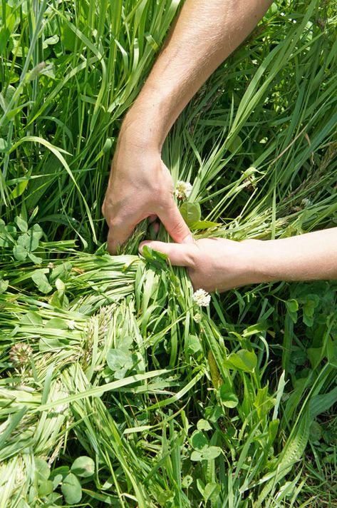 frenchbraid03 Slow Art, Environmental Concerns, The Meadows, French Braid, Land Art, Environmental Art, The Field, Artist At Work, Garden Inspiration