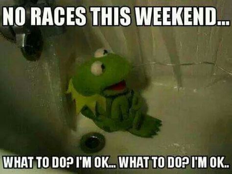 No race weekend. :( Sapo Kermit, Kermit Meme, Kermit Funny, Kermit The Frog, The Frog, Best Memes, Reaction Pictures, Kpop Memes, Mood Pics