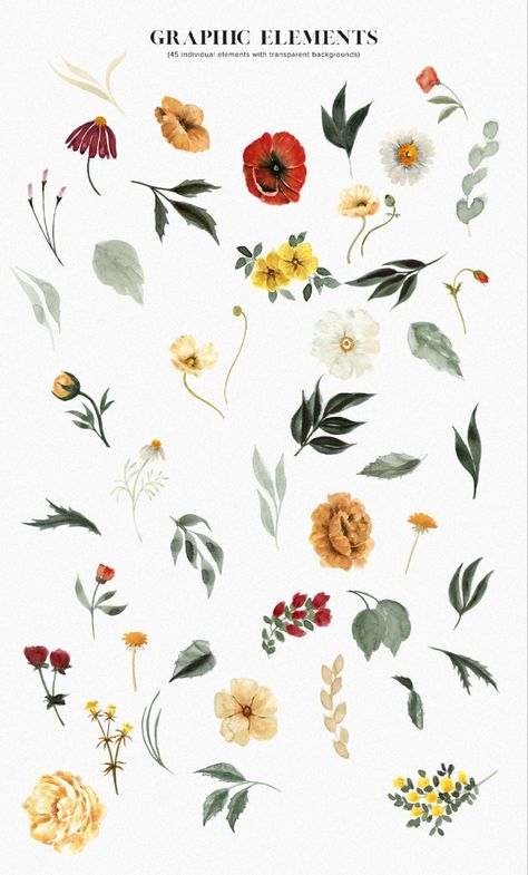 Frühling Wallpaper, Floral Graphic Design, Winter Florals, Boutique Logo Design, Illustration Botanique, Winter Floral, Golden Flower, Floral Illustration, Floral Graphic