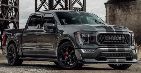 Shelby Super Snake F150, Ford Shelby Truck, F150 Super Snake, Shelby Truck, Ford Ranger 2014, Shelby F150, Shelby Super Snake, Chevy Trucks Silverado, Tundra Truck