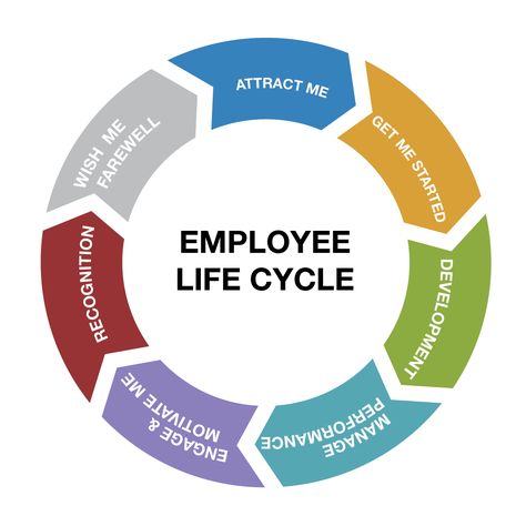 employee life cycle info graphic Employee Life Cycle, Human Resources Ideas Employee Engagement, Human Resources Ideas, Human Resources Quotes, Human Resources Humor, Human Resources Career, Hr Humor, Employee Experience, Human Capital