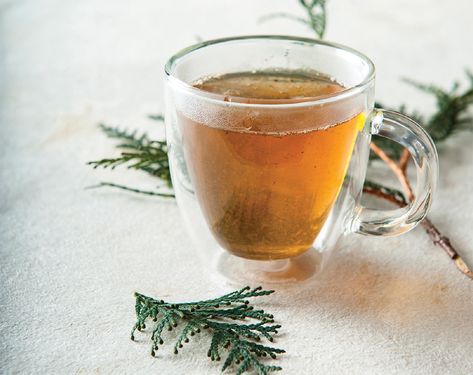 A cup of cedar tea next to some pine branches. Cedar Tea Recipe, Native Recipes, Herbal Bath Recipes, Wild Tea, Medicinal Herbs Remedies, London Fog Tea, Earth Food, Medicine Garden, Teas Recipes