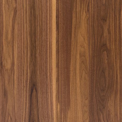 3 Layered American Walnut Flooring Black Walnut Flooring, Walnut Wood Texture, Walnut Texture, Wood Texture Seamless, Veneer Texture, Hickory Flooring, Peel And Stick Wood, Wood Company, Natural Wood Flooring