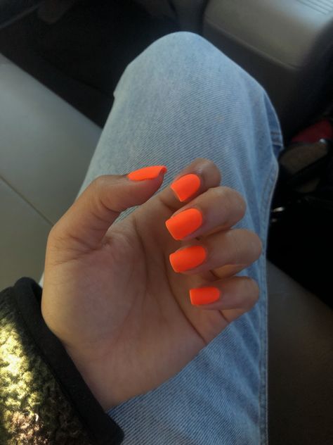 Matte Orange Nails Short, Fluorescent Orange Nails, Orange Matte Nails, Neon Pedicure, Fall Pedicures, Detailed Nails, Matte Gel Nails, Fall Pedicure, Neon Orange Nails