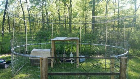 Upcycled/Recycled Coops - Swing Set Frames & Trampoline Frames - Any creative people with ideas? | BackYard Chickens - Learn How to Raise Chickens Old Trampoline, Chicken Tunnels, Rabbit House, Repurposing Ideas, How To Raise Chickens, Raise Chickens, Upcycling Ideas, Playroom Design, Backyard Chicken Coops