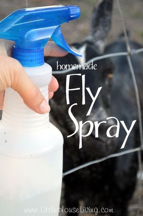 Homemade Fly Spray, Fly Spray For Horses, Fly Spray, Basil Essential Oil, Insect Spray, Coop Ideas, Fly Repellant, Horse Fly, Bug Repellent