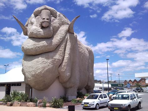 THE BIG MERINO, GOULBURN, NSW  Built in 1985, the Big Merino in Goulburn, 165km south-west of Sydney, stands testament to our 200-year wool history. The 97t me-rino was based on Rambo, a stud ram from local property Bullamallita. Australia Tourist Attractions, Big Pineapple, Merino Sheep, Big Country, Roadside Attractions, Big Things, Sunshine Coast, South Wales, New South Wales