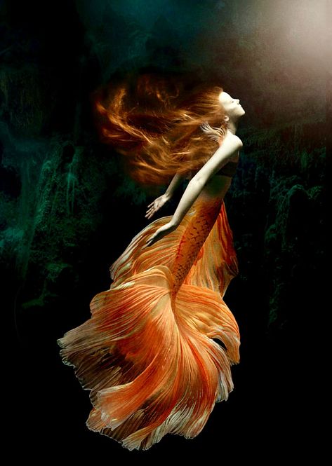 Titanic Underwater, Orange Mermaid, Mermaid Photography, Photography Water, Fantasy Ideas, Mermaid Artwork, Fantasy Mermaids, Underwater Art, Mermaid Drawings