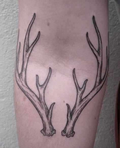 Antler Tattoos, Antler Tattoo, Stomach Tattoos, Cute Black Wallpaper, Elegant Tattoos, Body Mods, Back Tattoo, Black Wallpaper, Antlers