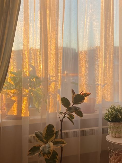 Sunrise Apartment, Islamic Wallpaper Iphone, Scenery Photography, Forest Wallpaper, City Garden, Window View, City Landscape, A Level Art, Apartment Inspiration