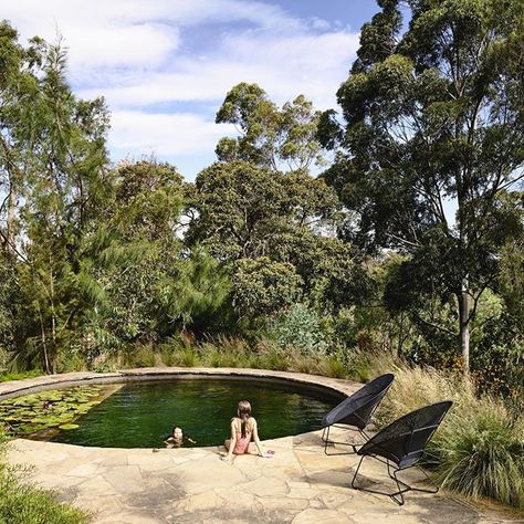 Issue 51 arriving in newsagents today. Inside a bush block with a natural swimming pool just 10 minutes from Melbourne's CBD. @samcoxlandscape @kennedy_nolan @naturalpoolsaus photo by @derek_swalwell Fairfield House, Bio Pool, Bush Garden, Natural Swimming Pools, Australian Garden, Plant Projects, Natural Swimming Pool, Country Lifestyle, Native Garden