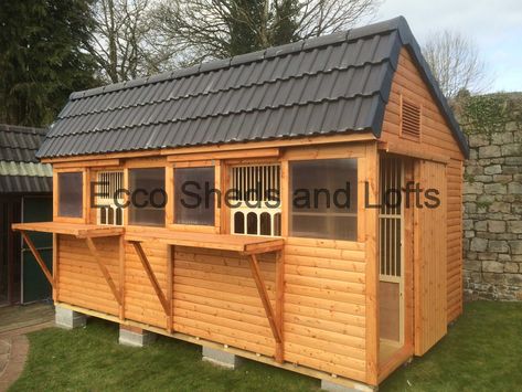 Tiled Lofts - Ecco Sheds and Pigeon Lofts Lofts Ideas, Pigeon Design, Pigeon Coop, Racing Pigeon Lofts, Pigeon Loft Design, Pigeon House, Loft Designs, Outdoor Wood Projects, Pigeon Loft