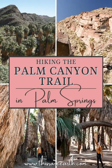 Hiking Palm Canyon Trail in Palm Springs - This Rare Earth Palm Springs Hiking Trails, Hiking Palm Springs, Palm Springs Hikes, Palm Desert Outfits, Desert Hiking Outfit, 2023 Adventure, Palm Springs Hiking, Palm Springs Outfit, California Hiking