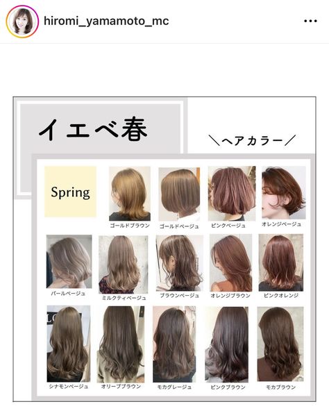 Spring Tone Hair Colors, Bright Spring Hair Color, Light Spring Palette, Muted Autumn, Spring Tones, Spring Palette, Spring Hair Color, Personal Color, Hair Color Auburn