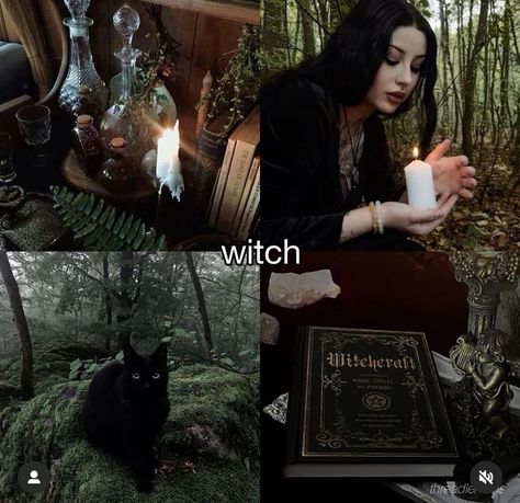 Dark Feminine Witch Aesthetic, Black Witches Aesthetic, Medieval Witch Aesthetic, Eclectic Witch Aesthetic, Witch Core Aesthetic, Gothic Witch Aesthetic, Imbolc Aesthetic, Modern Witch Aesthetic, Witch Moodboard