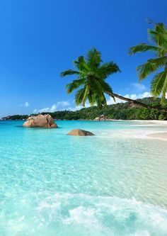 Seychelles Vacation, Tropical Beaches, Vacation Places, Africa Travel, Tropical Islands, Friend Photos, Beautiful Islands, Seychelles, Tahiti