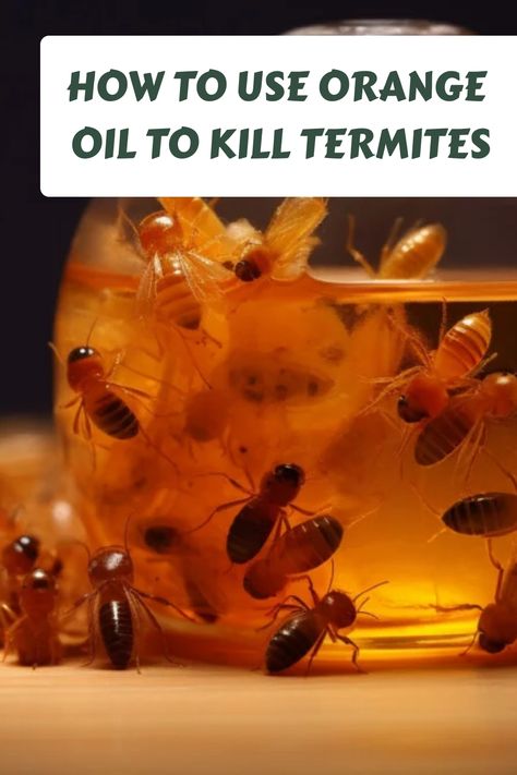 How To Use Orange Oil To Kill Termites Kill Termites, Termite Prevention, Termite Control, Cedarwood Essential Oil, Orange Oil, Protecting Your Home, Home Repairs, Harmful Chemicals, Pest Control