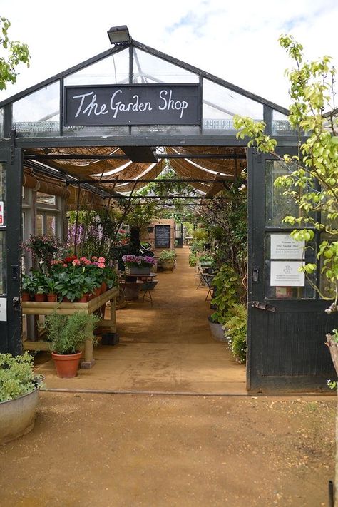 Garden Center Displays, Petersham Nurseries, Greenhouse Plans, Garden Cafe, Diy Greenhouse, Garden Nursery, Greenhouse Gardening, Garden Shop, Plant Nursery