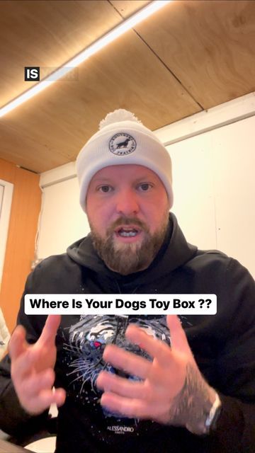 Southend Dog Training on Instagram: "Where Is Your Dogs Toy Box ?? #dogsofinstagram #dogtraining #southenddogtraining" Dog Toy Box, Dog Ideas, Dog Activities, Training Day, January 13, Cute Wild Animals, Pet Training, Toy Box, Puppy Training